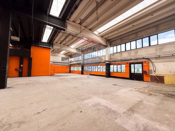 Locale Commerciale Segrate, MI Affitto