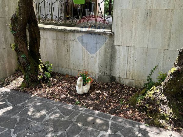 Villa singola Patrica, FR Vendita - Foto 2