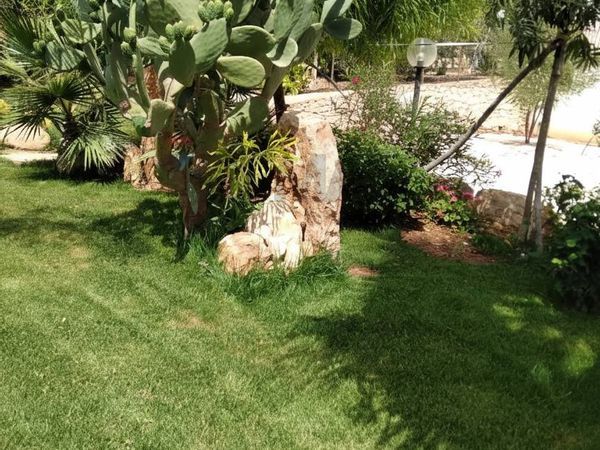 Villa singola Sampieri, Scicli, RG Vendita - Foto 3