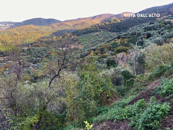 Rustico Scarlino, GR Vendita - Foto 4