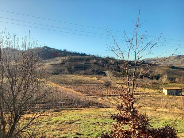 Cascina/Casale Santa Maria della Versa, PV Vendita - Foto 3