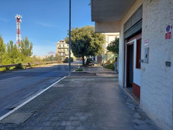 Commerciale Altro Vieste, FG Affitto - Foto 2