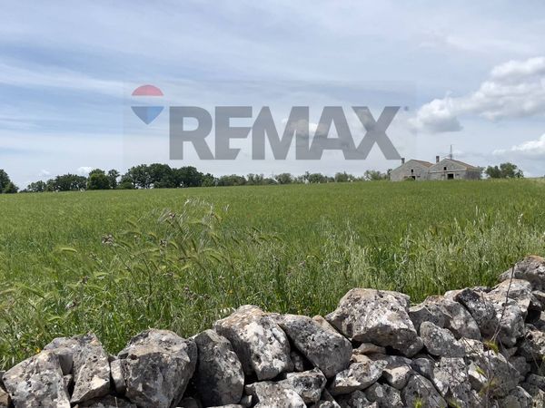 Villa singola Santeramo in Colle, BA Vendita - Foto 2