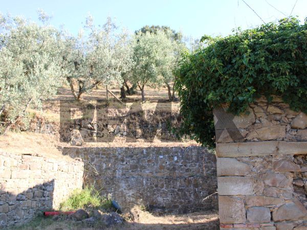 Rustico Vitolini, Vinci, FI Vendita - Foto 3