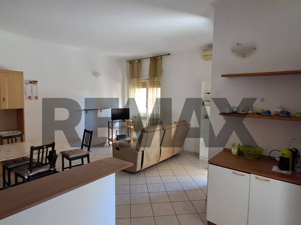 Appartamento Ladispoli, RM Vendita - Foto 2