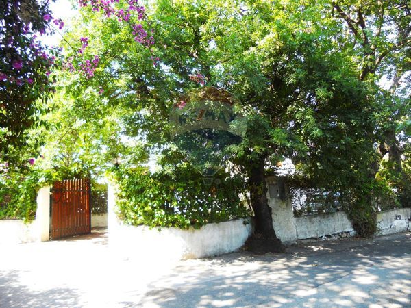 Villa o villino Centro, San Felice Circeo, LT Vendita - Foto 3