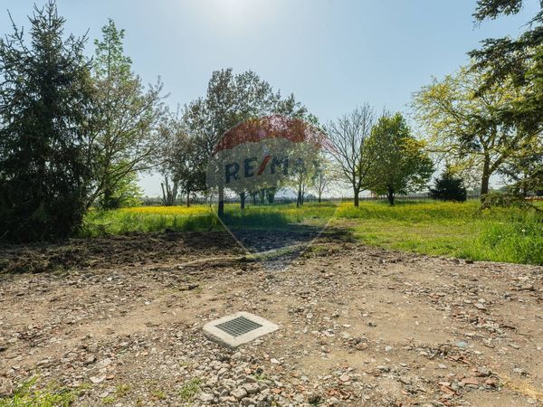 Rustico Prato, Correggio, RE Vendita - Foto 3