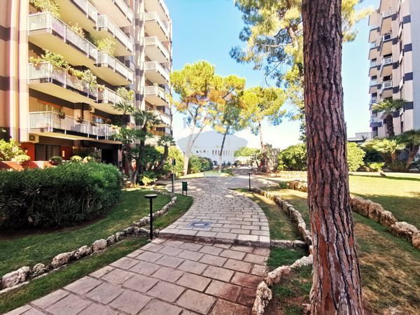 Appartamento Picone, Bari, BA Affitto - Foto 4