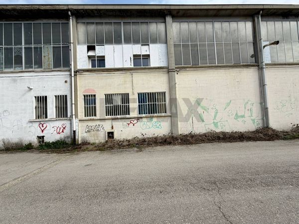Capannone Industriale Alberi, Parma, PR Affitto - Foto 2