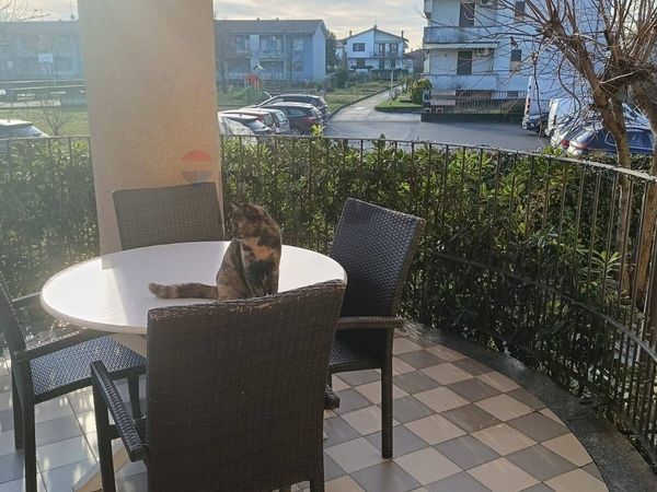 Appartamento Centora, Rottofreno, PC Vendita - Foto 3