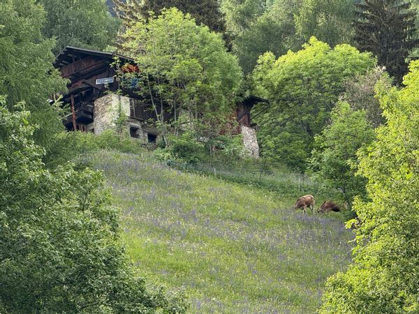 Rustico Comasine, Peio, TN Vendita