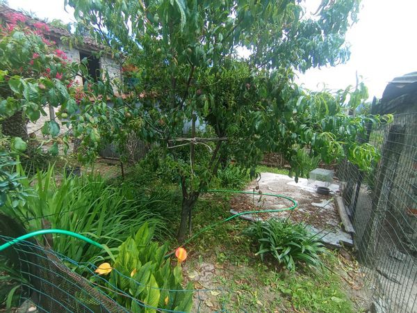 Casa Semindipendente Ghivizzano, Coreglia Antelminelli, LU Vendita - Foto 3