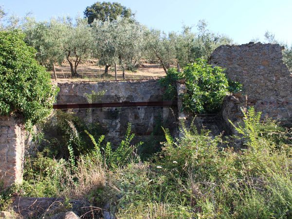 Rustico Vitolini, Vinci, FI Vendita - Foto 4