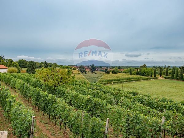 Casa Semindipendente Calvagese della Riviera, BS Vendita - Foto 4