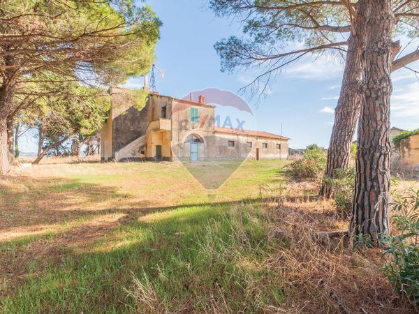 Cascina/Casale Campagna Montalto Di Castro, Montalto di Castro, VT Vendita