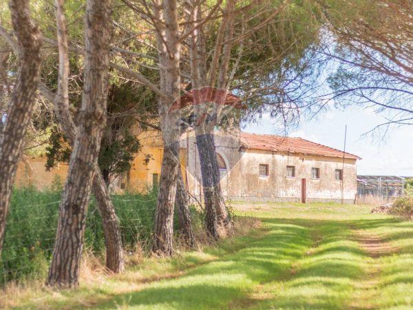 Cascina/Casale Campagna Montalto Di Castro, Montalto di Castro, VT Vendita - Foto 2