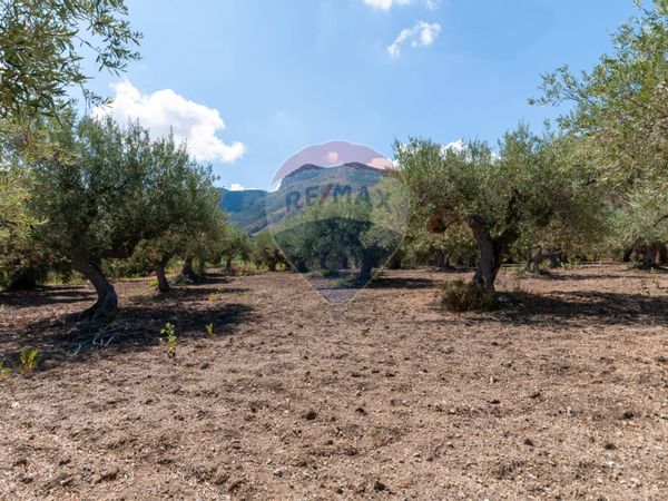 Villetta bifamiliare Altavilla Milicia, PA Vendita - Foto 3