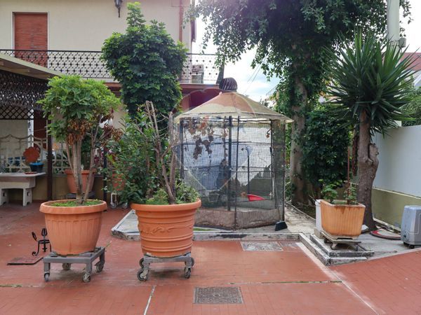 Casa Indipendente Montesilvano Spiaggia, Montesilvano, PE Vendita - Foto 4