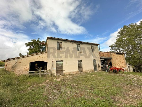 Cascina/Casale Rosora, AN Vendita - Foto 3