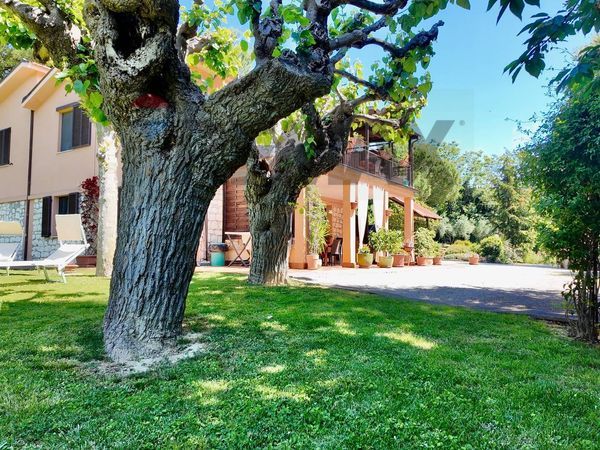 Villa o villino Pinocchio, Ancona, AN Vendita - Foto 2