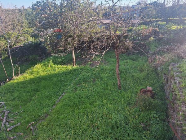 Villa singola Aci Bonaccorsi, CT Vendita - Foto 4