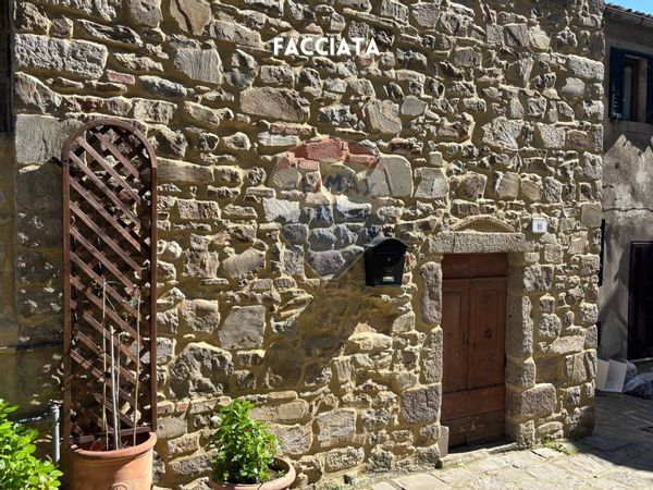 Casa Indipendente Montelaterone, Arcidosso, GR Vendita - Foto 4