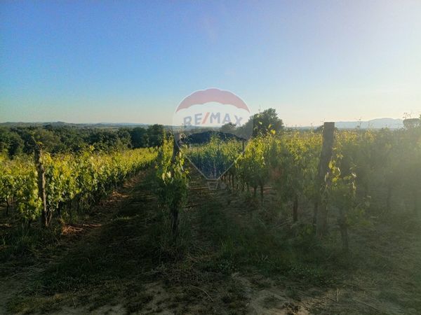 Terreno Marginone, Altopascio, LU Vendita - Foto 3