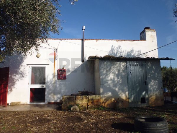 Terreno Pisticci, MT Vendita - Foto 3