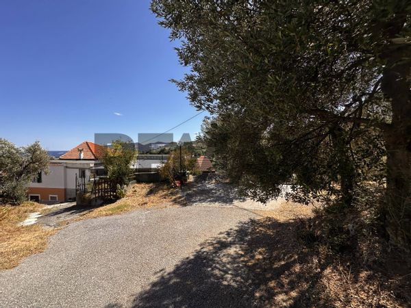 Casa Semindipendente LeginoZinola, Savona, SV Vendita - Foto 4