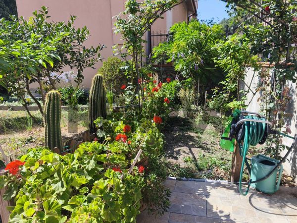 Casa Indipendente Quiliano, SV Vendita - Foto 4