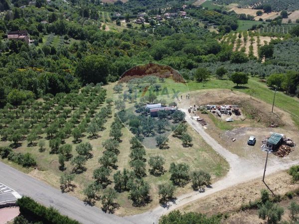 Terreno Edificabile Montecchio, TR Vendita - Foto 3