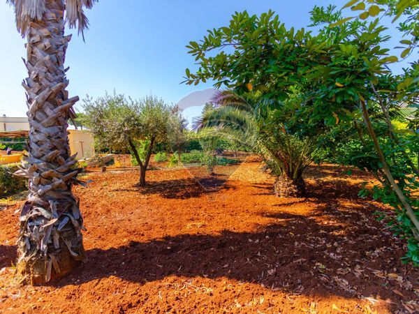 Villetta bifamiliare Martina Franca, TA Vendita - Foto 4