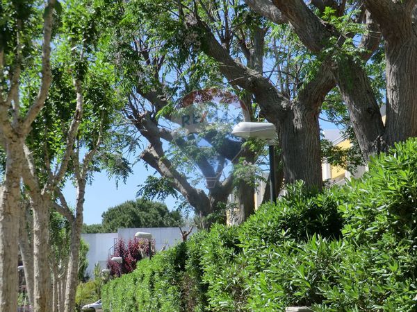 Casa Vacanze Ugento, LE Vendita - Foto 3