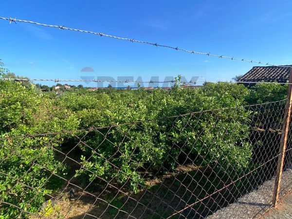 Terreno Santa Tecla Di Acireale, Acireale, CT Vendita - Foto 4