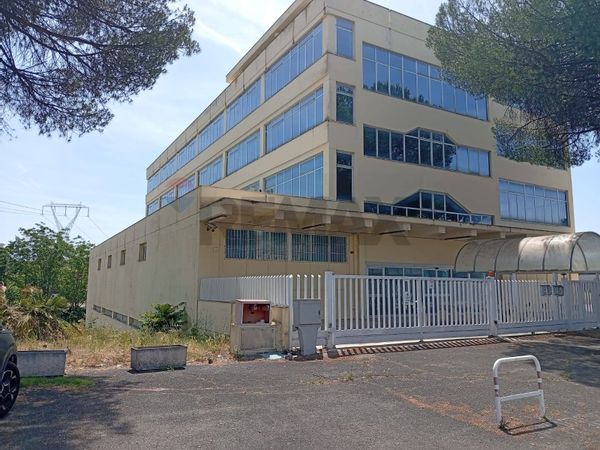 Stabile/Palazzo Guidonia, Guidonia Montecelio, RM Vendita