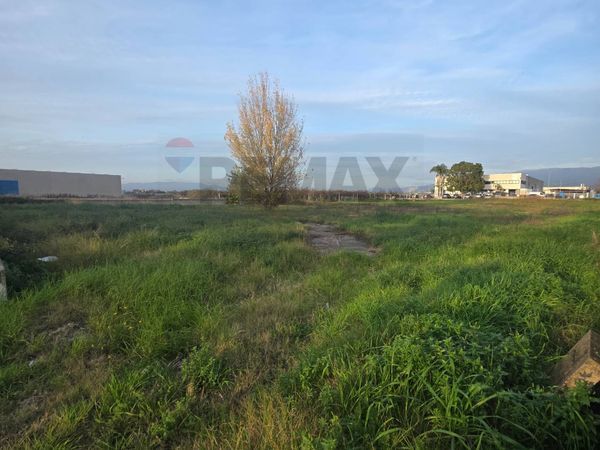 Terreno Industriale Borgo Flora, Cisterna di Latina, LT Vendita - Foto 2