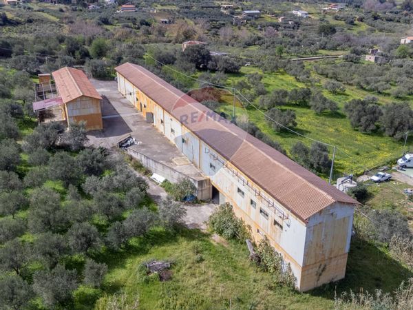 Capannone Industriale Borgetto, PA Vendita - Foto 3