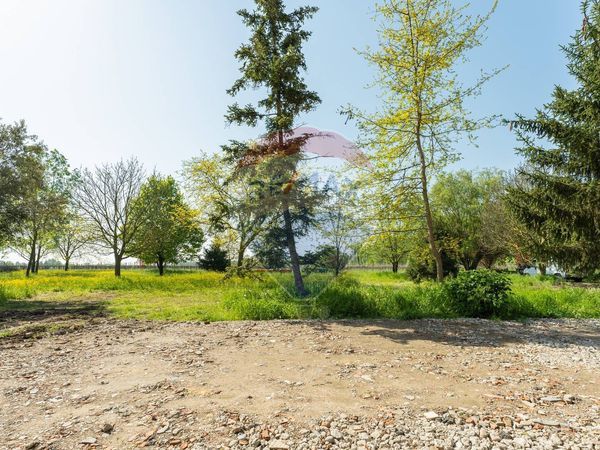 Rustico Prato, Correggio, RE Vendita - Foto 2