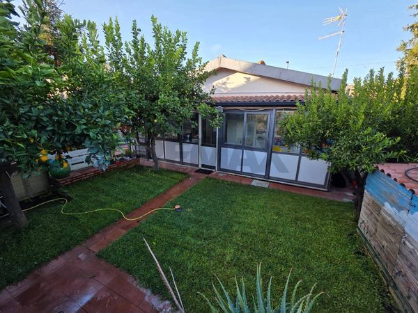 Casa Indipendente Pedara, CT Vendita