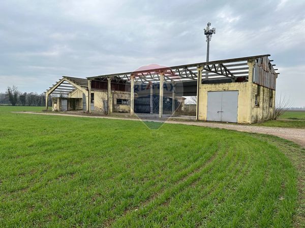 Rustico Sant'Antonio (capoluogo), Porto Mantovano, MN Vendita