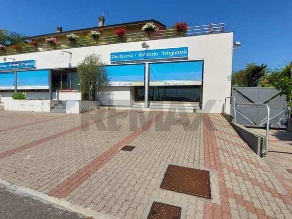 Locale Commerciale Fontanellato, PR Affitto - Foto 3