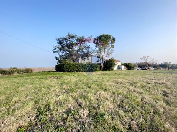 Cascina/Casale Torino di Sangro, CH Vendita