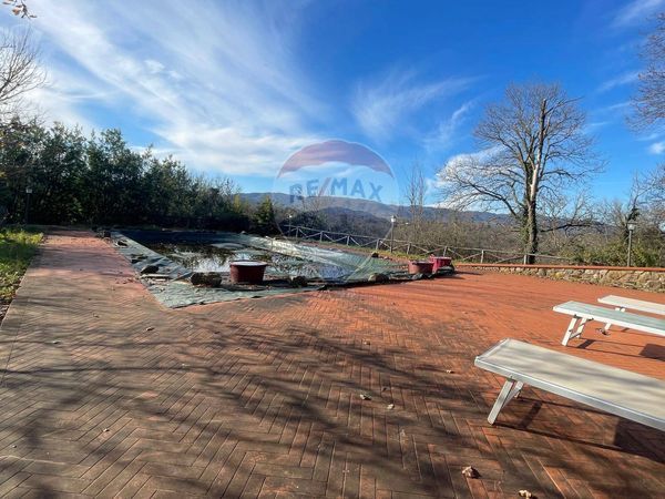 Azienda Agricola Campagna, San Giovanni Valdarno, AR Vendita - Foto 4