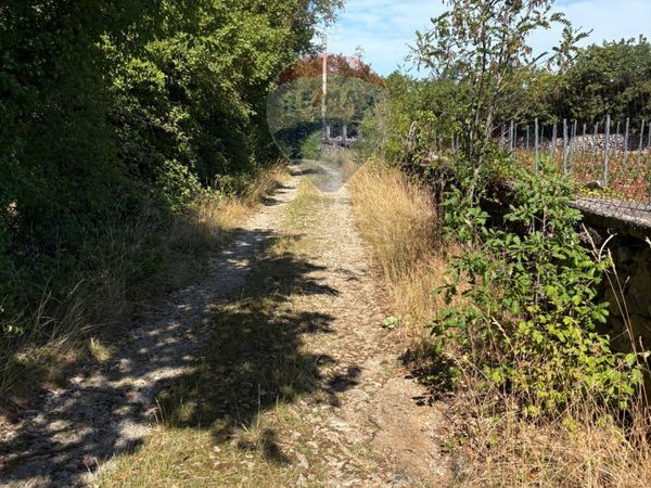 Terreno Aurisina, Duino-Aurisina, TS Vendita - Foto 3