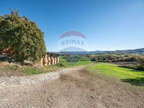 Azienda Agricola Mozzano, Neviano degli Arduini, PR Vendita - Foto 3
