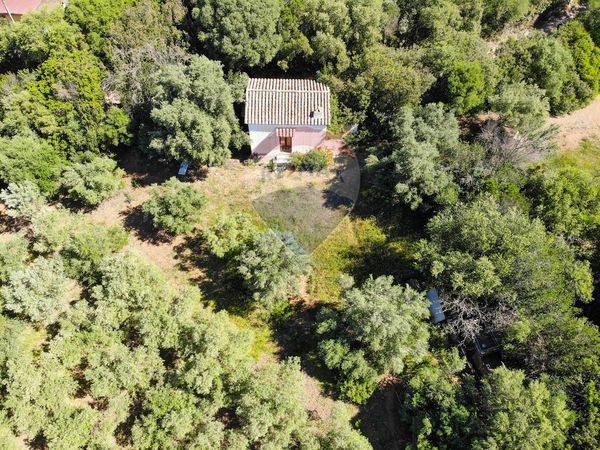 Cascina/Casale Teulada, SU Vendita - Foto 3