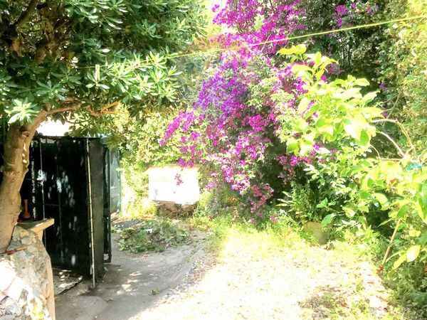Casa Indipendente Castiglioncello, Rosignano Marittimo, LI Vendita