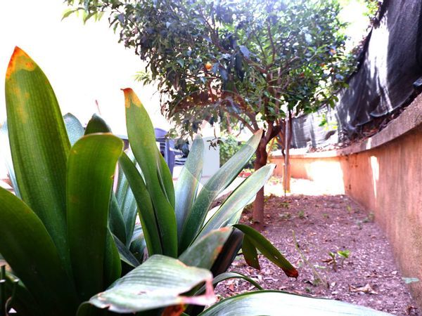 Appartamento Casagiove, CE Vendita