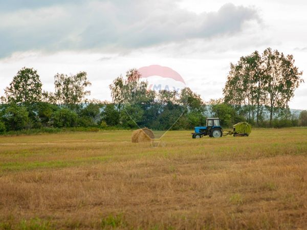 Azienda Agricola Bredazzane, Montichiari, BS Vendita