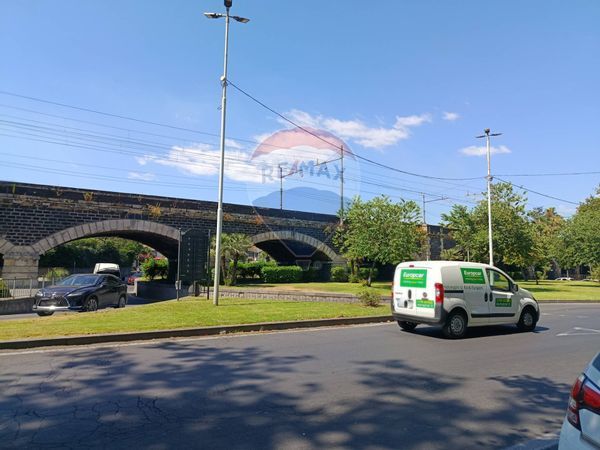 Locale Commerciale Centro Storico, Catania, CT Affitto - Foto 3